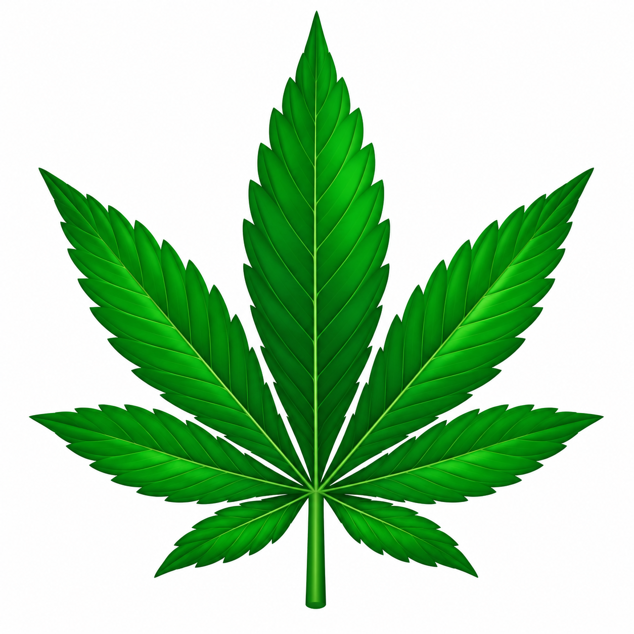 Cannabis