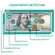Kolibri BISHOP 2-in-1 Counterfeit Money Detector and Bill Counter with UV, MG and IR Detection
